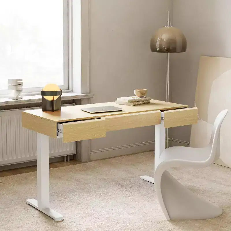 Scrivania elettrica regolabile in altezza da 48 pollici con cassetti, Scrivania regolabile con contenitore, Postazione di lavoro per computer per ufficio domestico
